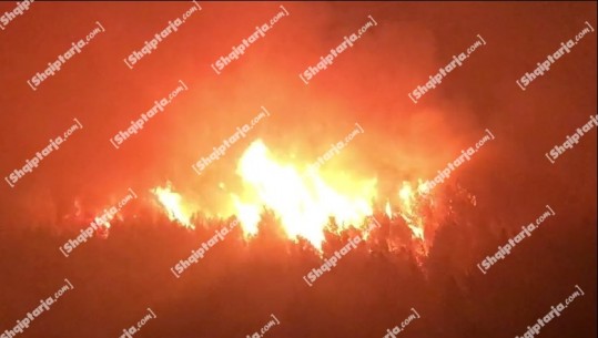Vijon të jetë aktiv zjarri në fshatin Pllanë në Lezhë, digjen sipërfaqe të konsiderueshme me pyje! Rrezikohet një linjë e tensionit të lartë