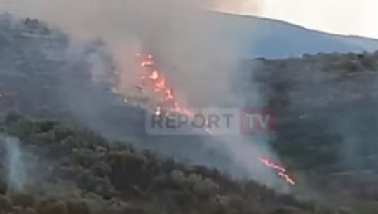 Ndezi shkurret, por zjarri doli jashtë kontrollit, arrestohet fermeri që dogji 10 hektar tokë në Poliçan