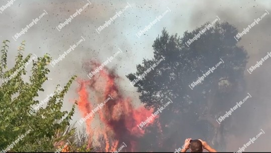 Zjarri në fshatin Bestrovë në Vlorë, shpërthen një municion i vjetër luftarak