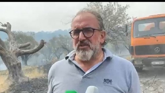 Zjarri në fshatrat Panaja dhe Bestrovë në Vlorë, Leli: Janë dëmtuar sipërfaqe të konsiderueshme më vreshta dhe ullinj