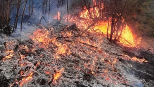 Gjirokastër/ Zjarr masiv në afërsi të fshatit Prongji! Terreni i vështirë, ndërhyhet vetëm me pompa shpine dhe mjete dore
