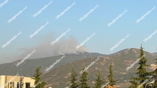 Elbasan/ Përfshihet nga flakët Kodrat e Shushicës në Elbasan, rrezikohet kurora e gjelbër, e pamundur ndërhyrja e zjarrfikësve për shkak të terrenit të vështirë