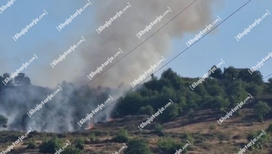 Zjarr në pishat e Pogradecit, digjet një sipërfaqe e madhe! Flakët shkrumbojnë edhe pyllin e  fshatit Osnat