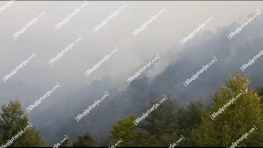 Prej dy ditësh, flakët vijojnë të djegin pemët në pyllin e  fshatit Osnat të Pogradecit! Zjarrfikësit po punojnë për shuarjen e flakëve