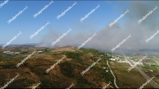 Fier/ Përfshihen nga zjarri disa kodra me ullinj në fshatin Cipllak, kryeplaku: Dëmi i madh për fermerët e zonës, do kërkojmë dëmshpërblim 