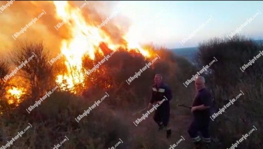 Zjarr i qëllimshëm në fshatin Trevllazër në Vlorë, forcat zjarrfikëse tentojnë të shuajnë me shkurre flakët masive