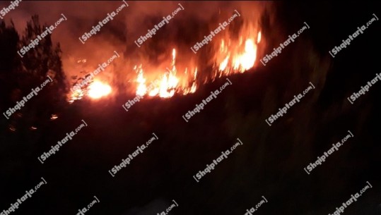 Zjarr në fshatin Borizanë të Fushë-Krujës, flakët përparojnë me shpejtësi rreth 100 m larg fabrikës së çimentos