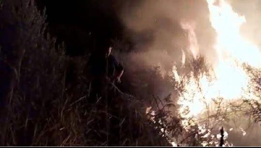 Vihet nën kontroll zjarri në fshatit Trevllazër në Vlorë (VIDEO)