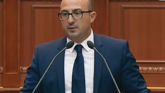 Debati online te Ligjet, 'perla' e radhës nga deputeti i Lushnjës: S'kemi internet, do na ngelet figura ngrehur