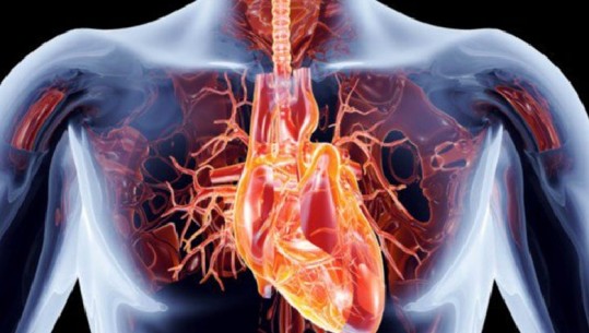 Dita Botërore e Zemrës, Ministria e Shëndetësisë: Rritet ndërgjegjësimi për kryerjen e kontrolleve! Shefi i Kardiologjisë: 40% e vdekshmërisë së popullatës, nga sëmundjet e zemrës