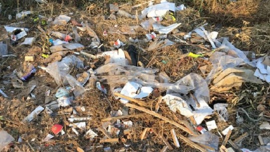 ‘Fshati i mbytur nga plehrat’ PD denoncon në Lushnje: Nëse nuk i pastroni do t’i sjellim ato në derën e Bashkisë dhe shtëpisë suaj 