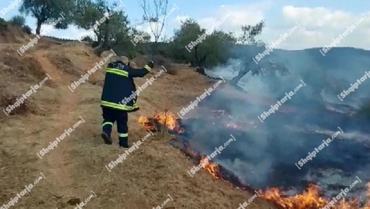 Zjarr në fshatin Bestrovë në Vlorë, dyshohet e qëllimshme! Zjarrfikësit shuajnë flakët me shkurre