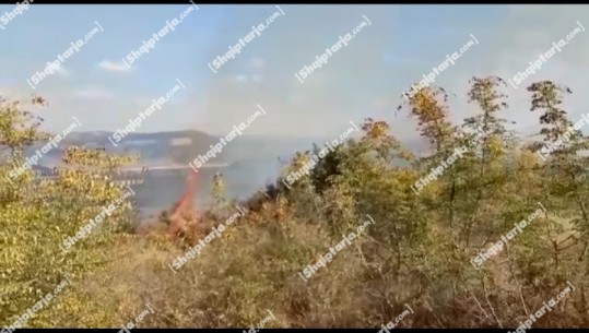 Zjarr në fshatin Sevaster në Vlorë, dyshohet i qëllimshëm, rrezikohen banesat