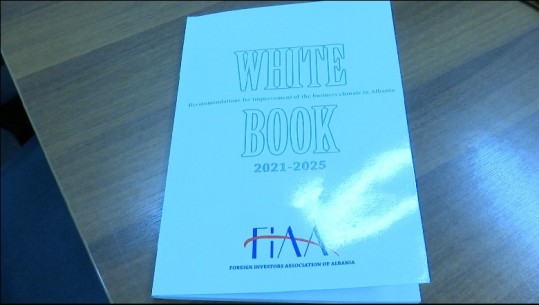'Libri i Bardhë', Investitorët e huaj: Problem informaliteti e korrupsioni 