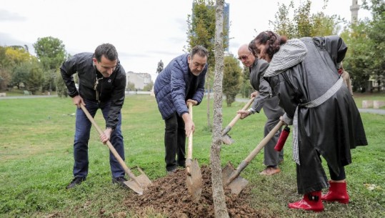 Një pemë në Parkun “Europa” në përkujtim të Rozmari Jorganxhi, Veliaj: Tirana di t’i nderojë figurat e saj