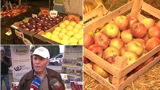 Korçë/ Nuk ka treg për mollët e ‘famshme’ të Dvoranit, fermerët: Qeveria të marrë masa të hapë eksportin me vendet jashtë
