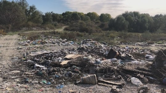 12 fshatra të Novoselës hedhin plehrat në zonën e mbrojtur të lagunës Vjosë-Nartë, problematika prej 3 vitesh, banorët: Kanë ndotur edhe ujin, nuk e pimë dot