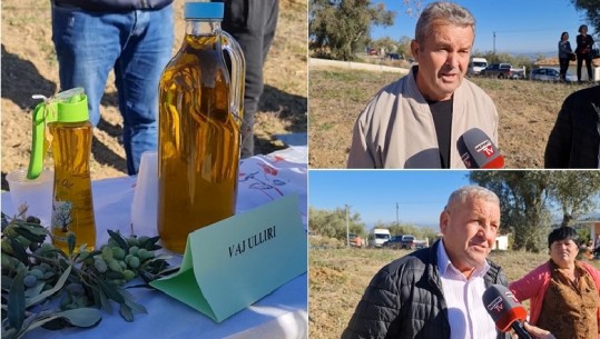 Festa e ullirit në Roskovec, fermerët: Nuk kemi treg për vajin, qeveria të na ndihmojë