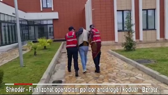 U kapën duke transportuar mbi 96 kg kanabis, 4 të arrestuar në Shkodër! Vëzhgoheshin prej muajsh nga policia