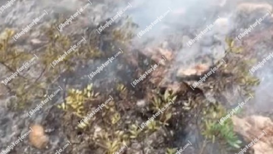 Zjarr në fshatin Mbreshtan në Berat, digjen 2 ha me shkurre e ferra dhe rreth 40 pemë me ullinj! Ende vatra aktive në zonën kodrinore