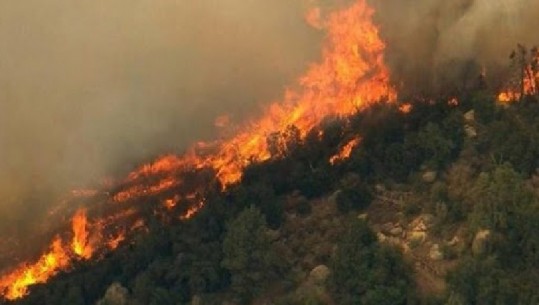 Zjarret dogjën hektarë të tërë, Ministri i Mbrojtjes: Gatishmëria, jo aty ku duhet! Kur flakët marrin përmasa të mëdha, vetëm reshjet e shiut mund t'i shuajnë