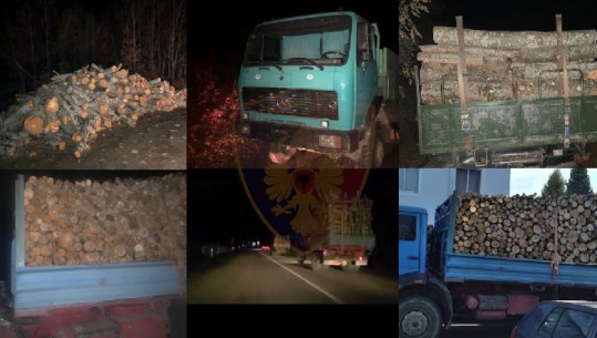 Bllokohen 5 kamionë që transportonin rreth 40 metër kub dru, nën hetim 9 persona në Shkodër, mes tyre edhe i teknik i bashkisë