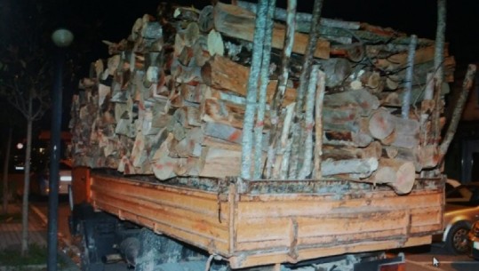 U kapën duke transportuar dru të prerë në mënyrë të paligjshme, një i arrestuar në Elbasan, vihet në hetim 33-vjeçari në Mat