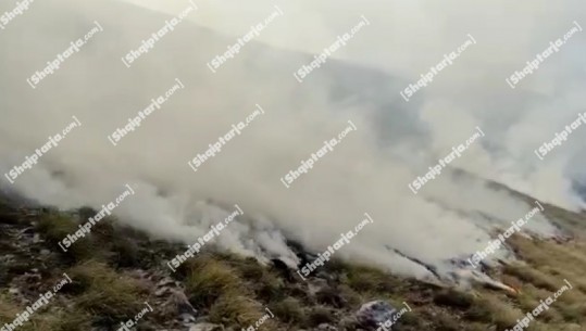 Zjarr në Malin e Thatë, përfshihen nga flakët 10 hektarë kullotë, zjarrfikësit në vendngjarje