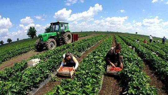 ‘Dixhitalizimi i bujqësisë”, Ministrja: Do ngremë treg online për fermerët