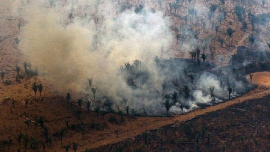 Brazil/ Shpyllëzimi në pyjet tropikale të Amazonës arrin në nivelin më të lartë në më shumë se 15 vite
