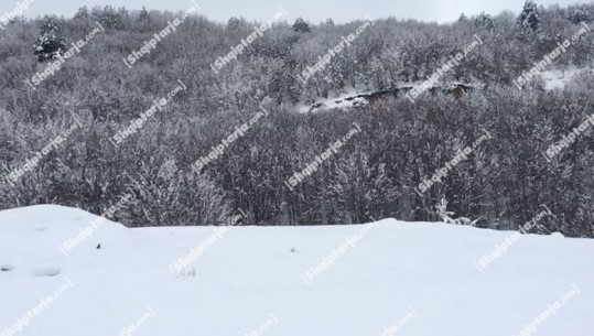 Dëborë ‘mbulon’ Krujën, trashësia në disa zona shkon mbi 5 cm
