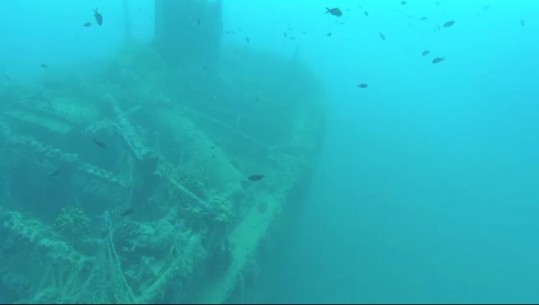 Anija italiane e mbytur në Luftën II Botërore e gjallesa të ndryshme, zhytësit tregojnë bukuritë e botës nënujorë në Sarandë (VIDEO)