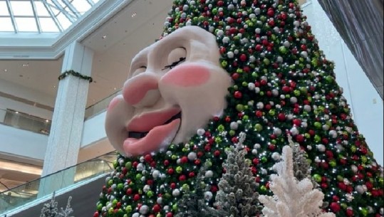 Atmosfera e festave është kudo! Rikthehet pas 15 vitesh pema e Krishtlindjeve që flet dhe bisedon me kalimtarët në Kanada (VIDEO)