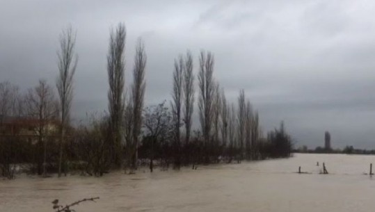 Moti i keq/ Në Balldre të Lezhës, 150 ha nën ujë! Rrugët nacionale dhe ato rurale, të kalueshme