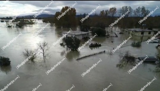 Shtëpi të zhytura nën ujë, qindra hektarë tokë të shkatërruara, Report Tv sjell pamjet me dron, çfarë po ndodh në Fier nga përmbytjet (VIDEO)