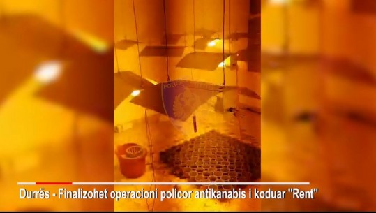 E kishte kthyer apartamentin në ‘shtëpi bari’, shpallet në kërkim qiramarrësi në Durrës! Sekuestrohen 110 vazo me kanabis dhe llamba elektrike (VIDEO)