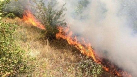 Zjarr në Vlorë, i vënë qëllimisht në një tokë djerrë por po i afrohet ullishtes së fshatit Kërkovë