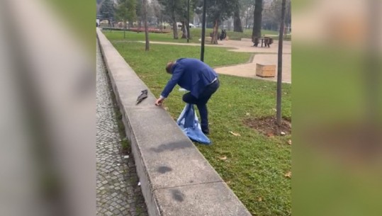 Pamjet virale pas protestës së Berishës, qytetari pastron këpucët me flamurin e PD (VIDEO)