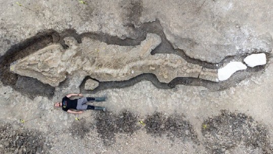 'Dragoi i detit', gjenden në Britani fosilet e grabitqarit gjigant të detit që ka jetuar 250 milionë vite më parë