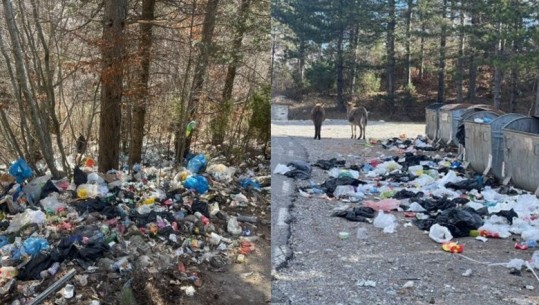 Ndotja në Razëm, AKM nuk fal: Gjobë 500 mijë lekë ndaj kryetarit të bashkisë së Malësisë së Madhe! I pari drejtues vendor i ndëshkuar për mbetjet (FOTO+VIDEO)