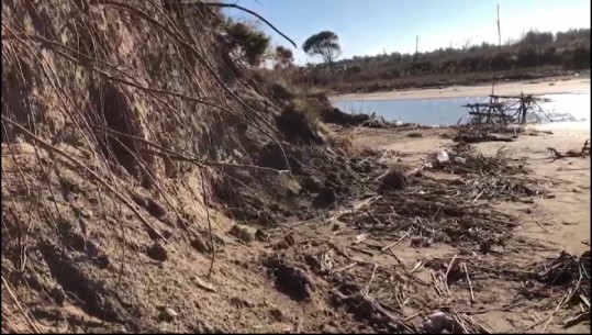 Deti 'merr' tokën, Semani dhe Darëzeza më Fier drejt 'zhdukjes'! Erozioni detar shkatërron plazhin dhe pyllin