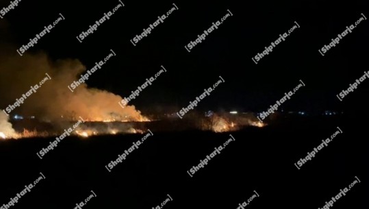 Shëngjin/ Zjarri në lagunën e Knallës vijon të jetë aktiv, digjen 10 hektarë bimësi! Ndërhyrja e zjarrfikësve e pamundur për shkak të mungesës së rrugës (VIDEO)