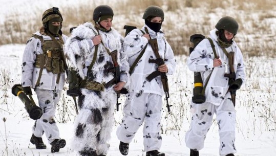 Ukraina kërkon zyrtarisht armë nga qeveria gjermane