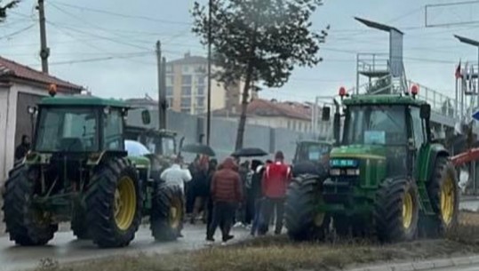 Protesta në Bilisht, Braimllari: Qeveria po shkatërron dhe mashtron fermerët cdo ditë
