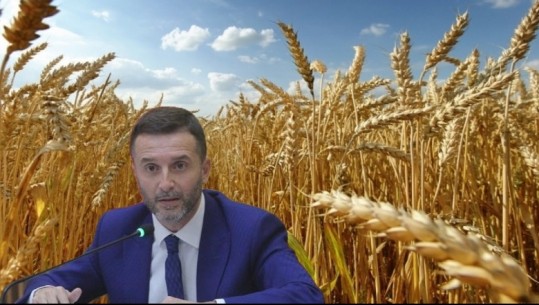‘Nuk më dëgjuat’, paralajmërimi i Braçes: Në tetor iu thashë të mbillni grurë, tani është koha për mbjelljen e misrit