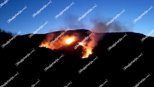 Zjarr në Vlorë, përfshihet nga flakët një kodër në fshatin Peshkëpi, rrezikohen stanet