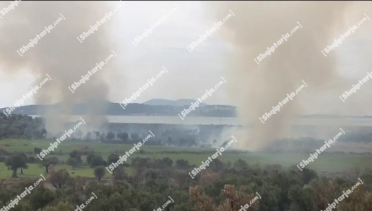 Përfshihen nga flakët ullishtat në fshatin Bestrovë në Vlorë, forcat e zjarrfikëse ndërhyjnë për të shuar zjarrin