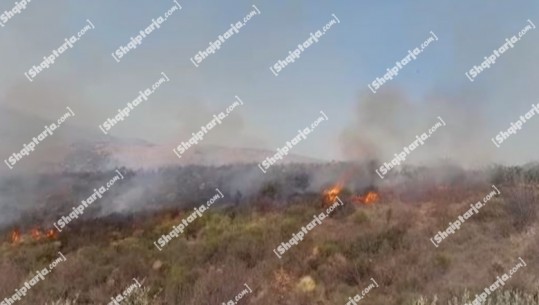 Zjarr në kodrën e fshatit Mimias në Berat, shkrumbohen dhjetëra dru frutore, zjarrfikësit në ‘luftë’ me flakët