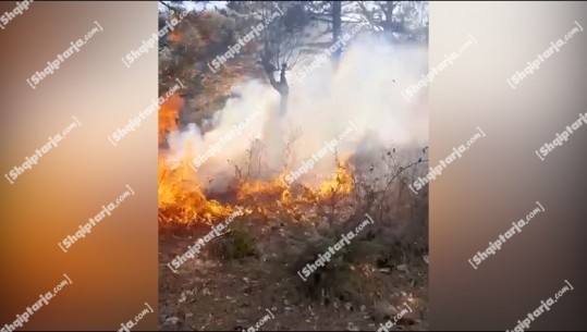 Zjarr në Elbasan, digjet prej 3 ditësh zona turistike e Gjinarit  (VIDEO)