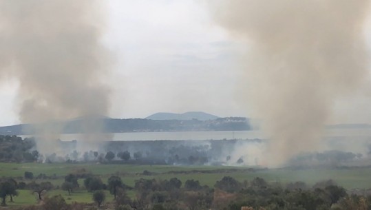 Vlorë, 30 vatra zjarri për 5 ditë, drejtori i zjarrfikëses: I vendosin blegtorët për të pastruar kullotat, policia nuk i arreston